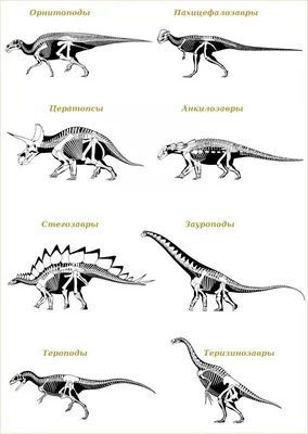 Пищевые картинки на торты - \"Динозавры и динозаврики\" маффин, капкейк или  пряник | \"CakePrint\"™ - Украина