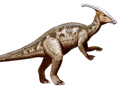 Картинки динозавров с названием | Динозавр, Динозавры, Игры динозавров