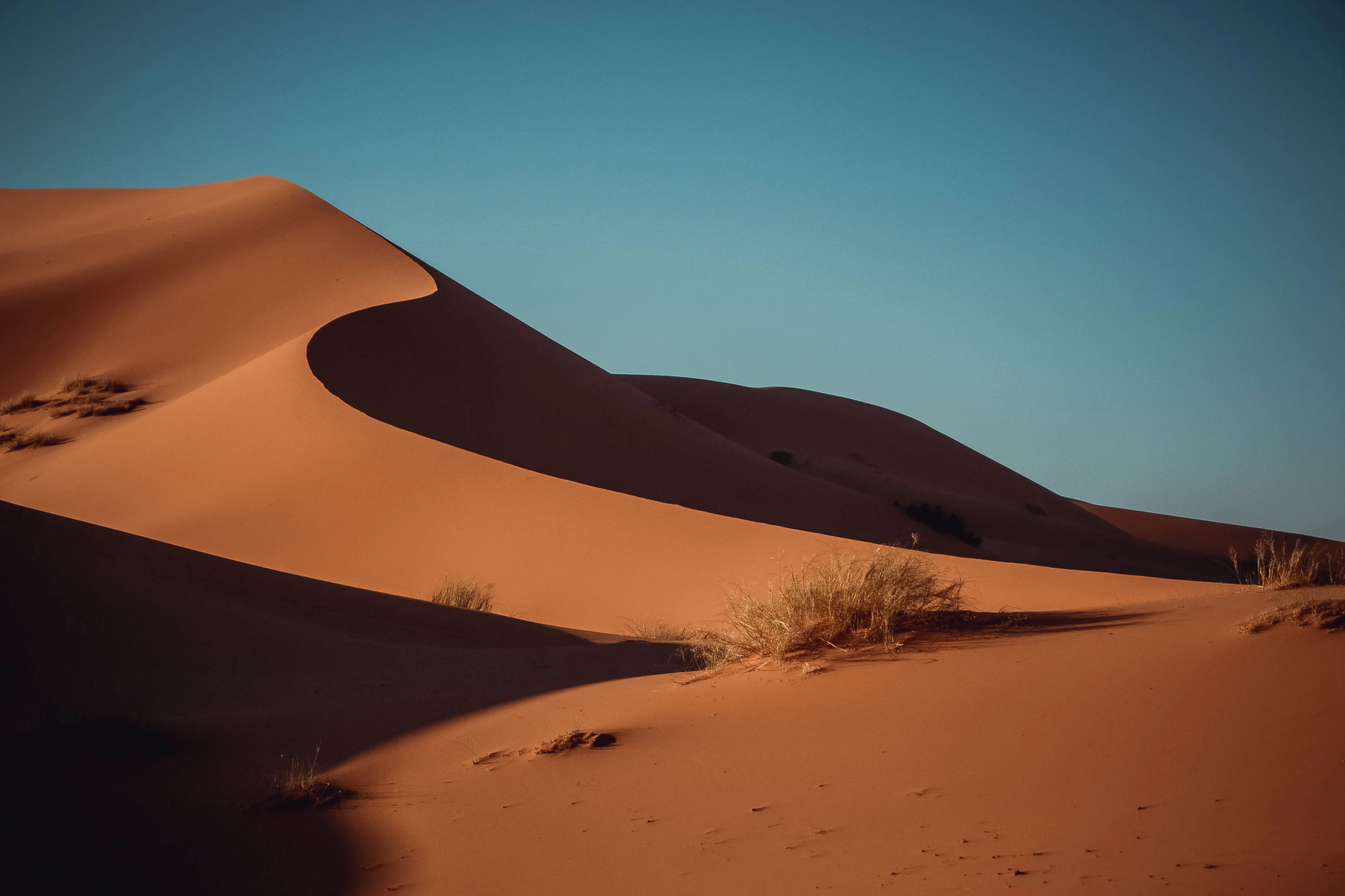 Дюна интересные факты. Песчаные дюны с барханами Египта. Дюны Барханы грядовые Пески. Пески дюн и барханов. Пустынный Оазис Сарыкум.