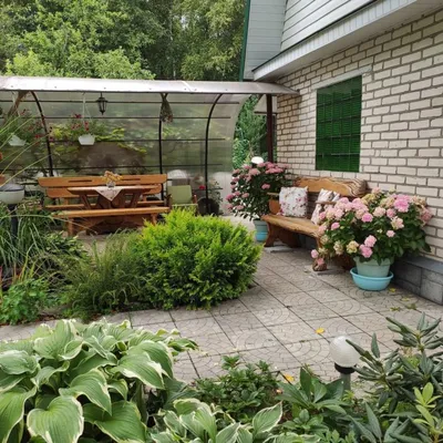 Озеленение двора (200 фото): ландшафтный дизайн частного дома своими руками  от А до Я! Готовые проекты озеленения придомовой территории
