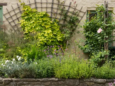 Клумбы на даче своими руками (+95 фото) | DomSmam | Small backyard  landscaping, Garden design, Yard landscaping