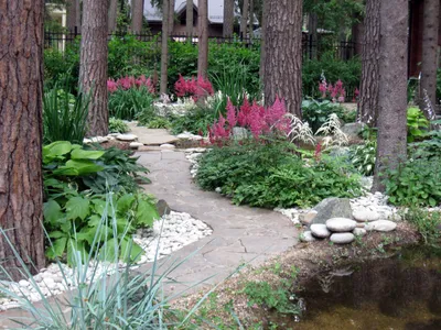 Лучший Современный Ландшафтный дизайн двора частного дома (160+ Фото). Как  Красиво обустроить и украсить… | Озеленение заднего двора, Дизайн сада,  Дизайн озеленение