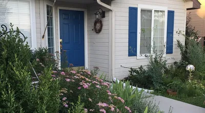 Как мы спланировали красивый розарий перед домом. Список растений, план,  цветовая схема | Ландшафтный дизайн для не-дизайнеров | Дзен