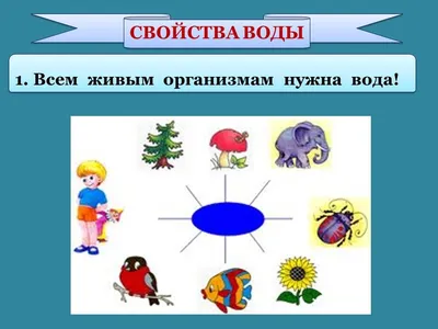 Набор плакатов по экологии «Вода – источник жизни, берегите ее!»