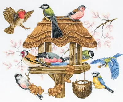 Покормите птиц зимой - ЧС-ИНФО