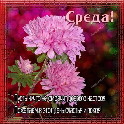 ♥♥♥ ПОЗИТИВ-позитивчик для ДРУЗЕЙ ღღღ | ВКонтакте | Доброе утро, Позитив,  Милые открытки