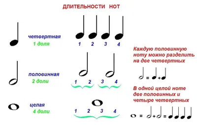 dlitelnosti | Ноты, Уроки музыки, Музыкальный класс