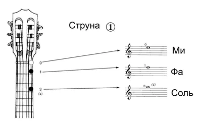 Калимба 17 нот домажор деревянный музыкальный инструмент Kalimba 81522357  купить за 693 ₽ в интернет-магазине Wildberries