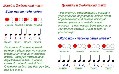 Sol-Fa: Карточки с нотами