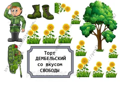 Купить Знак ДМБ, Счастливого дембеля, РФ в Минске с доставкой!