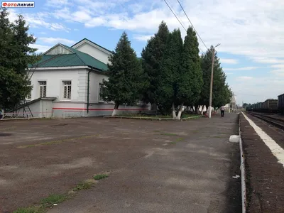 Вот такой чудо магазин открыли в нашем городе! Курская область, Дмитриев- Льговский. | Пикабу