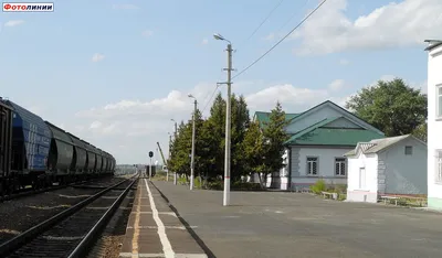 Дмитриев-Льговский старые фотографии