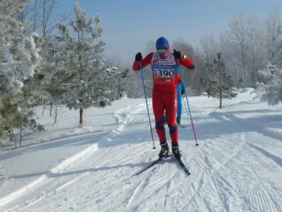 Новополочанин Дмитрий Баранов завоевал золото на Чемпионате Европы по  кикбоксингу