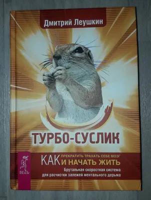 Владелец топливной компании Леушкин сообщил о критической нехватке топлива  на Украине | Ямал-Медиа