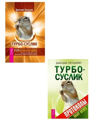 Книга: Турбо-Суслик. Протоколы. Автор: Леушкин Дмитрий. Купить книгу,  читать рецензии | ISBN 978-5-9573-2881-0 | Azon