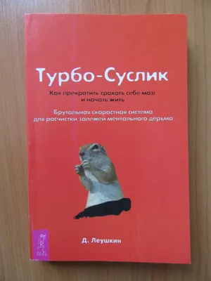 Студенты НГЛУ организовали в гимназии № 38 Дзержинска профориентационные  мероприятия