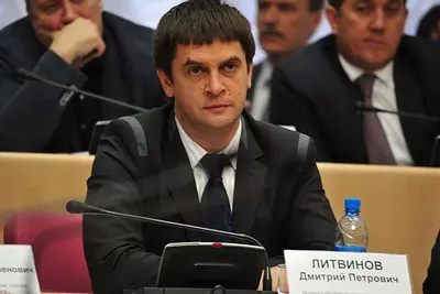 Литвинов Дмитрий Петрович | Избиратель - Депутат