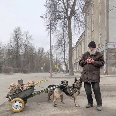 Дмитрий Марков о том, как его фотография попала в рекламную кампанию iPhone  7 - Афиша Daily