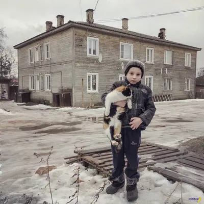 Дмитрий Марков — эксперт Эйч