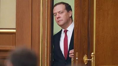 Дмитрий Медведев: польская гиена может развязать третью мировую войну -  НИА-КАЛИНИНГРАД