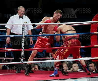 Экс-чемпион WBO Дмитрий Пирог стал депутатом Госдумы - РИА Новости Спорт,  01.03.2017