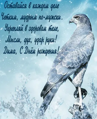 вперед к успеху - Как лев ты, Дмитрий, грациозен, И как философ мудр и остр  умом! | С днем рождения, Вдохновляющие цитаты, День рождения