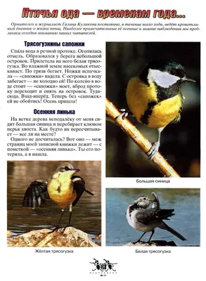 Конкурс ЭкоДействие «Дневник наблюдения за птицами»
