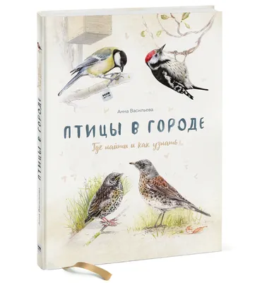 Птицы в городе. Где найти и как узнать. Васильева Анна - «Книга, с которой  птиц можно не только рассмотреть, но и послушать» | отзывы