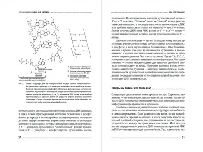 Разрушенная спираль ДНК, векторная картинка, нарисованная вручную  Иллюстрация вектора - иллюстрации насчитывающей геном, черный: 164212308