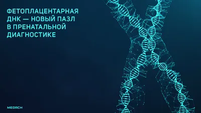 ДНК тест на отцовство. Цена - 8900 руб. Анонимно и с юридической силой