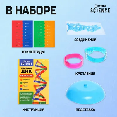 BROSHKA | Брошь ДНК золотистая BRBF111620 Цена