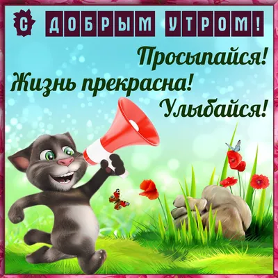 Красивые картинки \"С Добрым Утром!\" (4134 шт.)