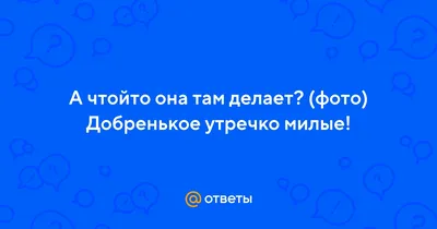 https://dzen.ru/a/ZW6WKiv_4STH_lNX