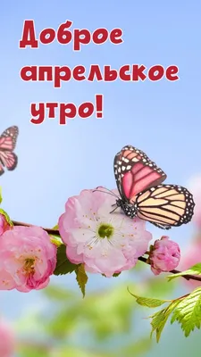 Открытки \"Доброго утра апреля!\" бесплатно (152 шт.)