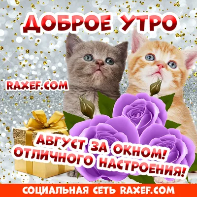 С добрым августовским утром, открытки с пожеланиями! Медведица из мультика  про Машу и Медведя... | Страница 1