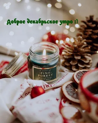 ДОБРОЕ ДЕКАБРЬСКОЕ УТРО #С НАЧАЛОМ ЗИМЫ #❄️🌲❄️🌲❄️🌲# | TikTok