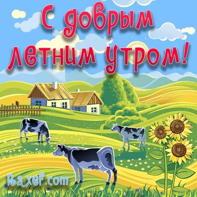 Настроение: Открытки по теме \"Доброе летнее утро\"