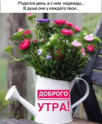 ДОБРОЕ УТРО! 🍃🍒🌸💐🍎🌿🌸🍓🍀 ЛЕТНЕЕ УТРО! | Планы тренировок для  начинающих, Доброе утро, Фотографии для мотивации