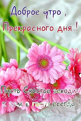 Летнее 💐🌺🌿 Утро доброе! | Христианские картинки, Счастливые картинки,  Цитаты