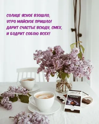 Картинки доброе майское утро (40 фото) » Красивые картинки, поздравления и  пожелания - Lubok.club