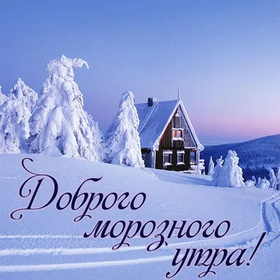Картинка \"Доброе зимнее утро\", с утренним снежным лесом • Аудио от Путина,  голосовые, музыкальные