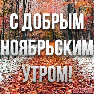 Открытки \"Доброго новбрьского утра!\" (100+)