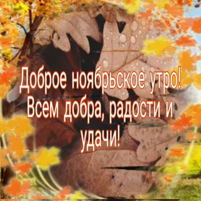 Открытки \"Доброго новбрьского утра!\" (100+)