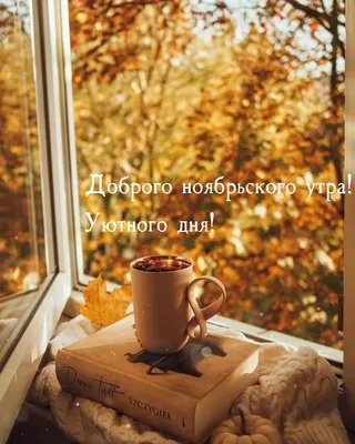 С Добрым Ноябрьским Утром! 1 НОЯБРЯ. #сдобрымутром #доброеутро #осенне... |  TikTok