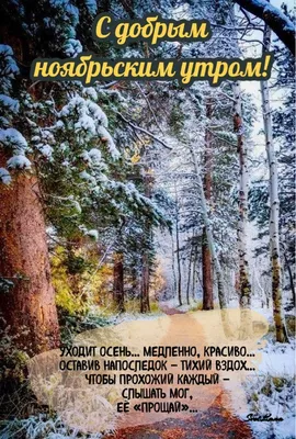 С добрым ноябрьским утром🍂 | Пейзажи, Осенний пейзаж, Живописные пейзажи