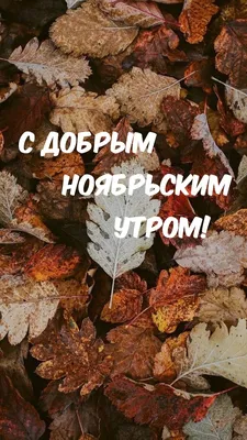 Открытки \"Доброго новбрьского утра!\" (100+)