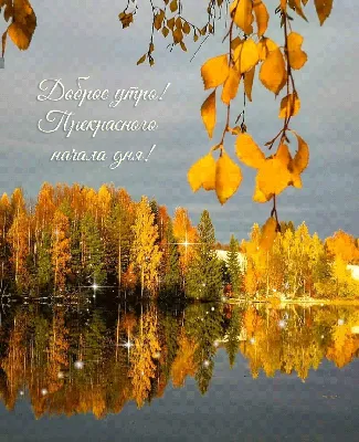 Идеи города - Осеннее утро🍁🍁🍁 Доброго воскресного дня! Фото: veronafox |  Facebook