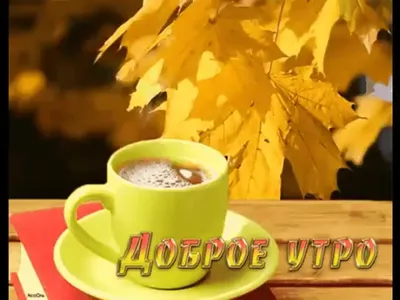 https://treepics.ru/3759-dobroe-osenne-utro