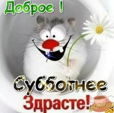 Всем доброе утро субботы прикольные картинки (49 фото) » Красивые картинки,  поздравления и пожелания - Lubok.club