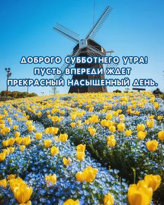 Открытки \"Доброго утра!\" в субботу (100+)